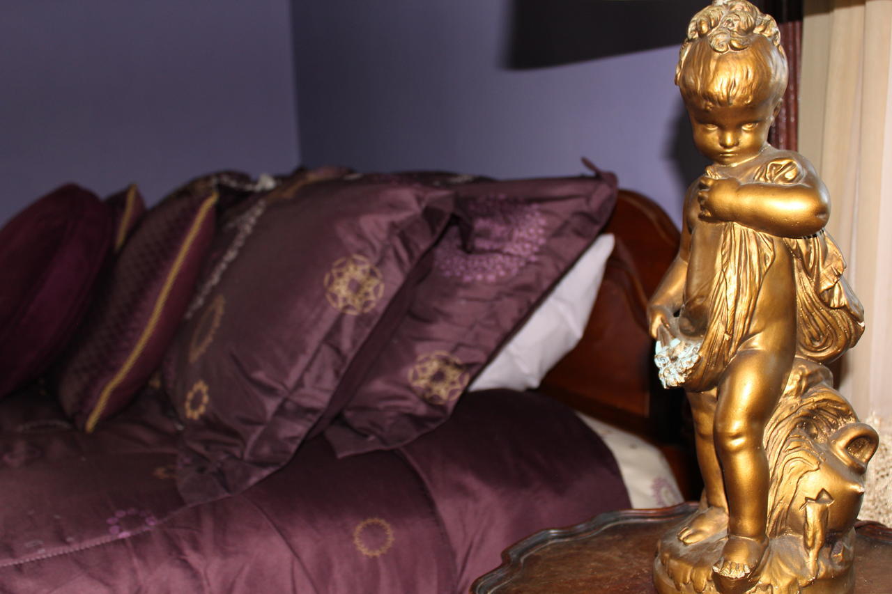 Riverview Mansion Hotel Golconda ห้อง รูปภาพ